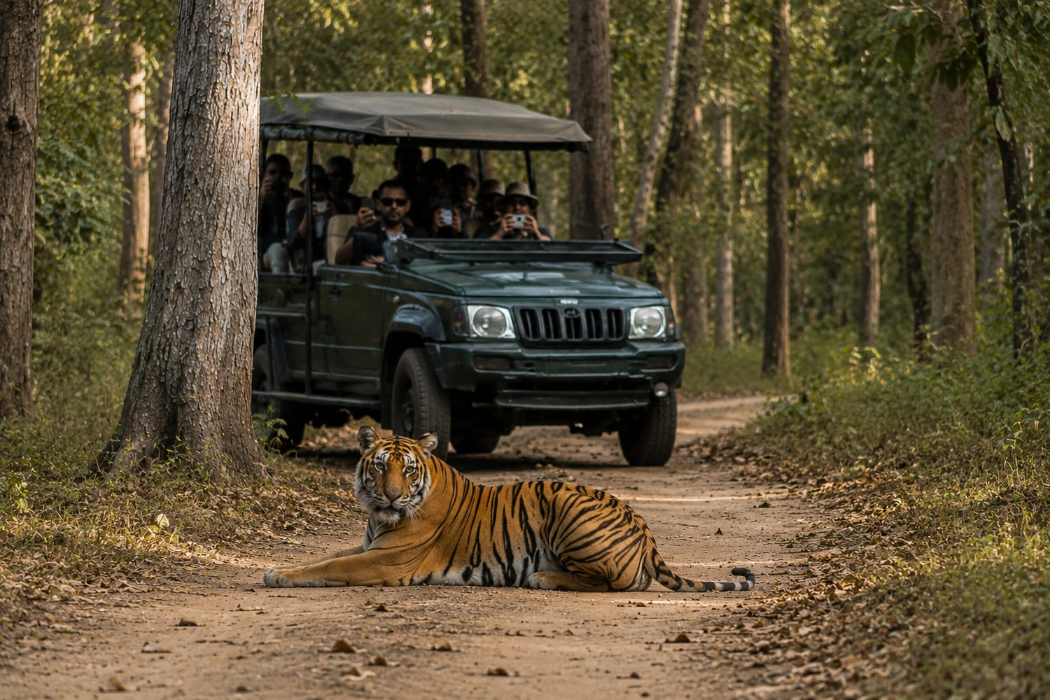 Nagarhole safari experience for Coorg itinerary
